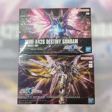 HG 데스티니 건담 & HG 마이티 스트라이크 프리덤 건담