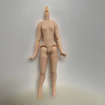 퓨어니모 리플렉션 풀 가동 S 스킨 컬러 중고품 리카짱 브라이스 아존