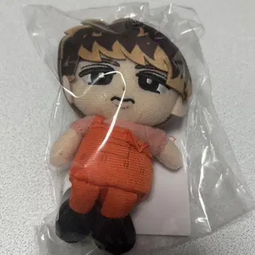 스노 치루 무카이 코지