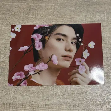 혼다 키요야 중국 한정판 브로마이드 브로마이드