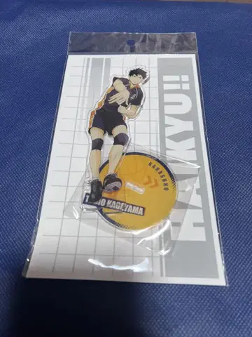 하이큐!! 전국 원정 아크릴 스탠드 카게야마 토비오 Haikyu