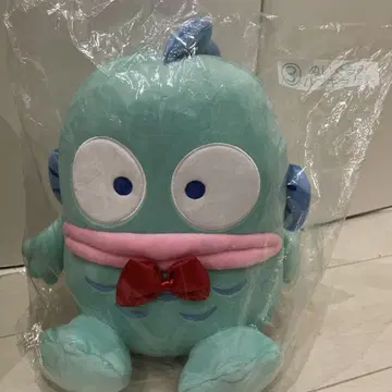 한교동의 봉제 인형