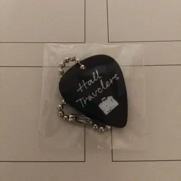 수염 남자 Hall Travelers 피크 키링(가챠)