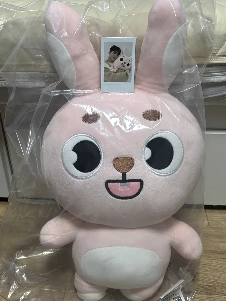 Day6 Giant Denimals Feel