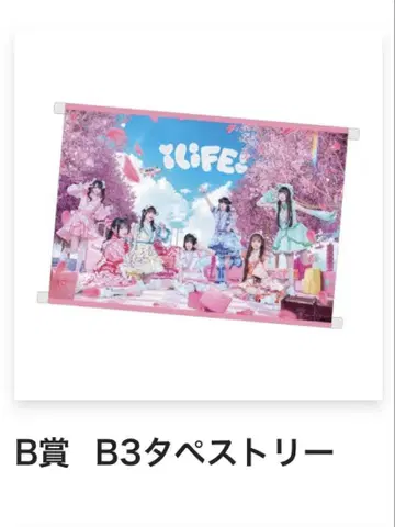 iLiFE! 태피스트리 가라퐁