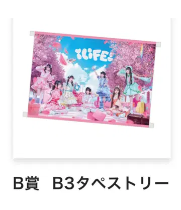 iLiFE! 가라폰 B상 태피스트리
