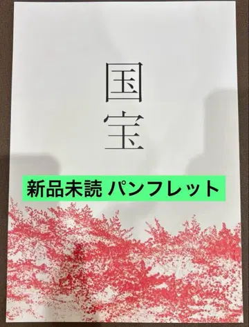 영화 국보 팜플렛 요시자와 료 요코하마 유성