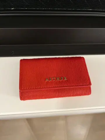 AETHER 레드 컴팩트 키 케이스