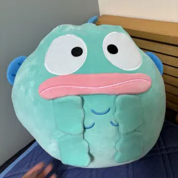 한교동 봉제 인형