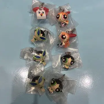 파워 퍼프 걸스 메지루시 액세서리