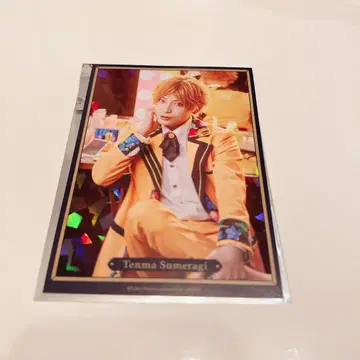 에이스 애니메이트 카페 포트레이트 코텐마 켄나이
