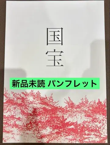 영화 국보 팜플렛 요시자와 료 요코하마 유성