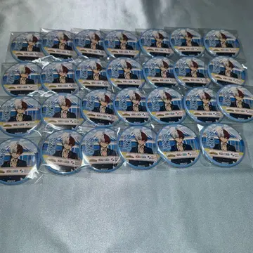히로아카 토도로키 쇼토 세이테츠 캔뱃지
