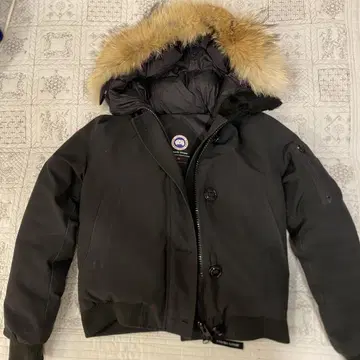 Canada Goose 라브라도 봄버