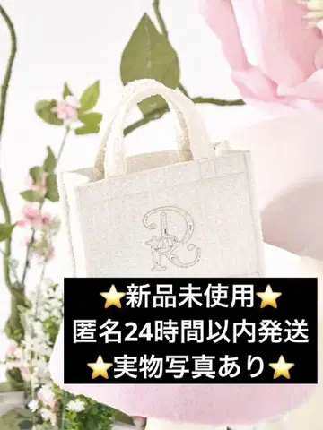 Darich 다리치 DR 비쥬 미니 토트백 WHT
