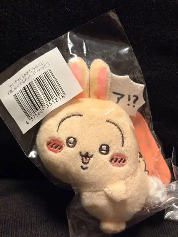 토끼로 가득한 복권 E상(하아!?)