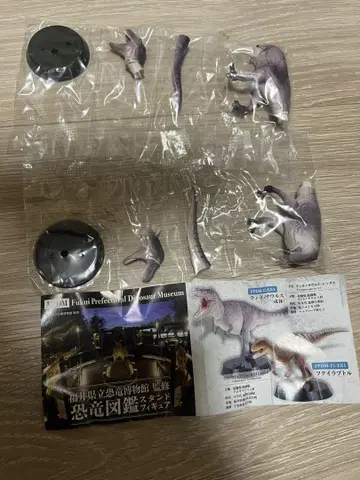후쿠이 현립 공룡 박물관 공룡 도감 스탠드 피규어 티라노사우루스