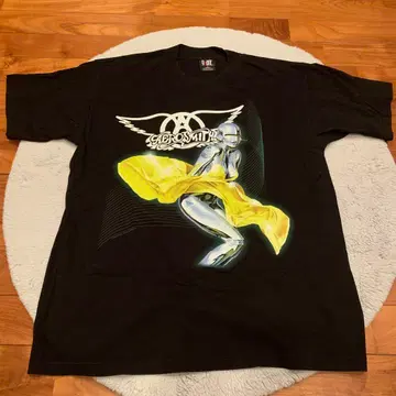 aerosmith 에어로스미스 스카이 마운틴 기 소라야마