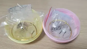 우리 집의 고양이 삼색 고양이 사바토라