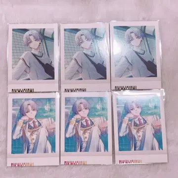 가능 불가 파샤코레