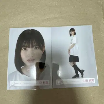 사쿠라자카46 야마다 모모미 첫 쇼케이스 로고 티셔츠 Yori Hiki