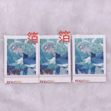 눈바람 찰칵!