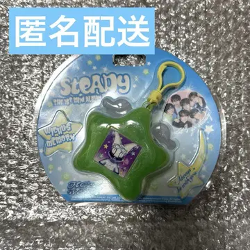 NCT WISH steady 키링 keyring typeA 시온