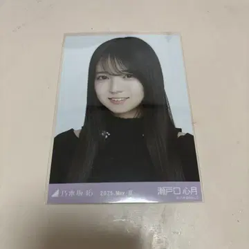 노기자카46 세토구치 코즈키 브로마이드 레이어드 상의 요리 바스라
