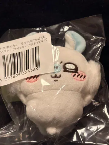 모몽가 가득 복권 E상(최고로 정해졌어!)