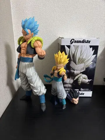 EXTREMESAIYAN 고지타 그란디스타 고텐