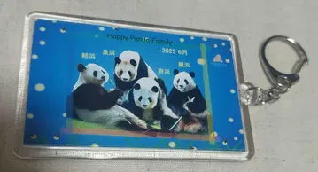 2025.6 어드벤처 월드 해피 팬더 패밀리 아크릴 키링
