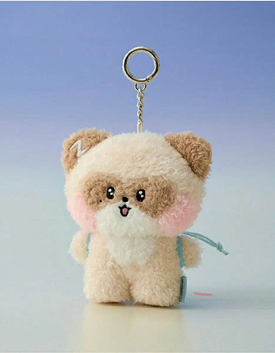 Sealed) hanni hanini Message Doll Keyring wts zb1 Xero zeroni