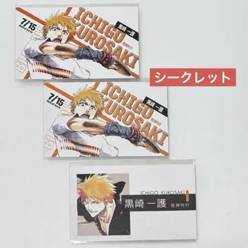 BLEACH 쿠로사키 이치고 명함 랜덤 시크릿 노멀