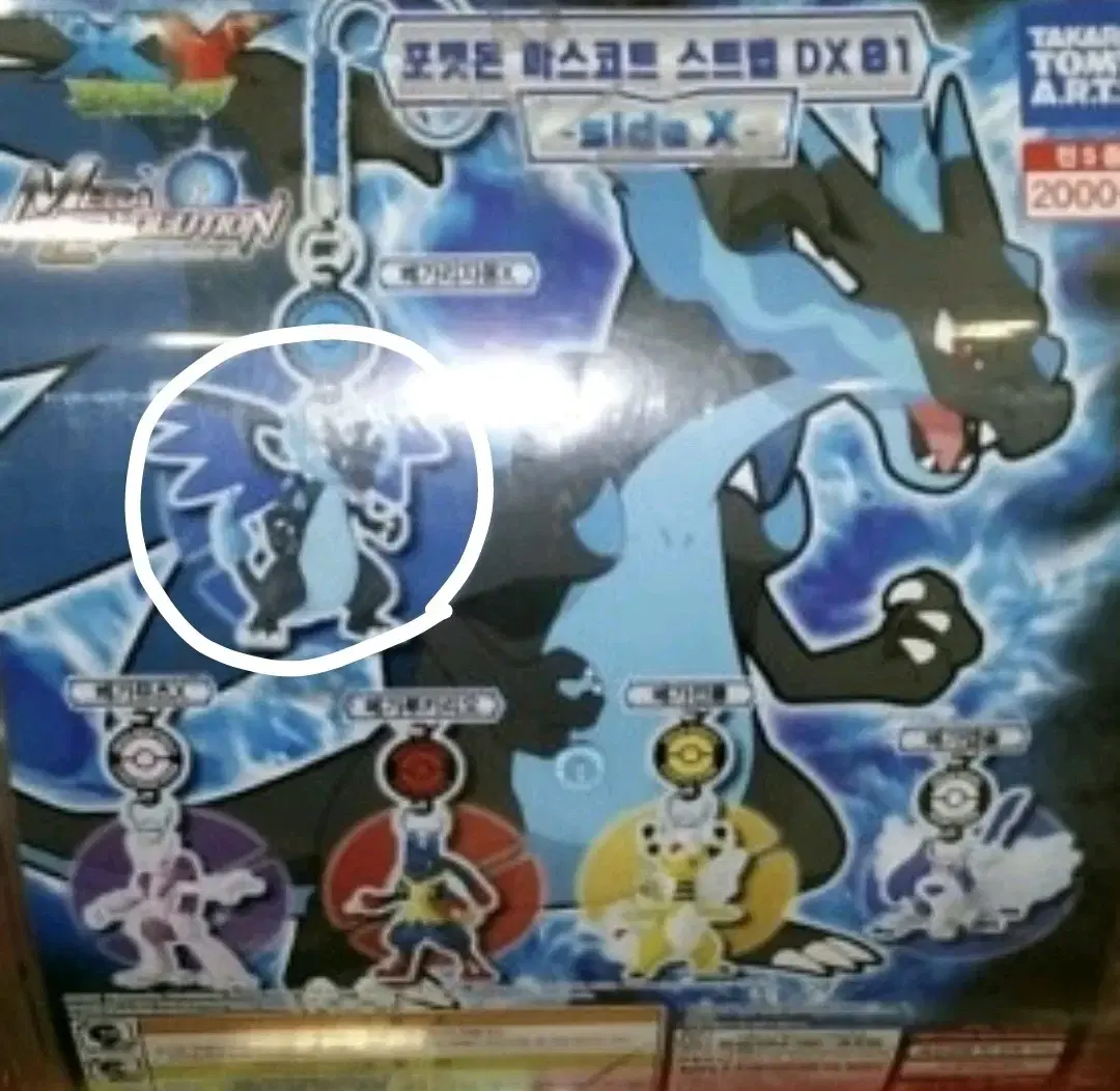 포켓몬 피규어 고전 스트랩 가챠 메가리자몽X