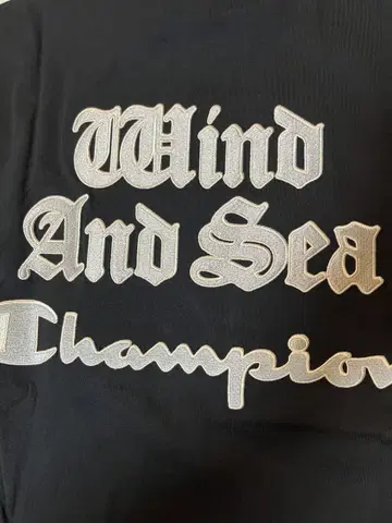 Champion x WIND AND SEA 윈드앤씨 티셔츠