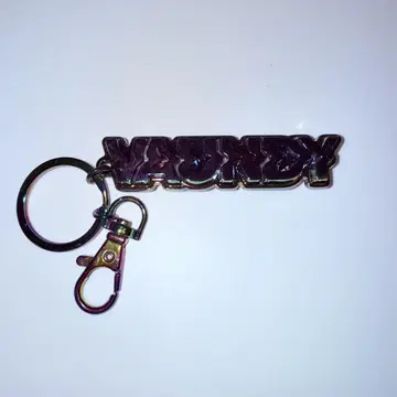 Vaundy FUSION 오로라 로고 키체인
