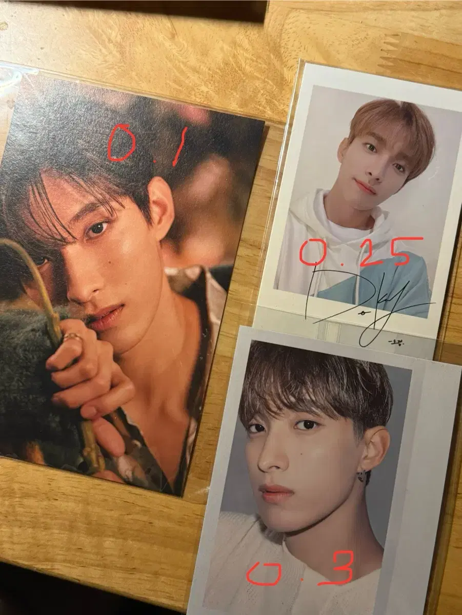 세븐틴 도겸 유어초이스 엽서&캐럿랜드 폴라&시즌그리팅 폴라