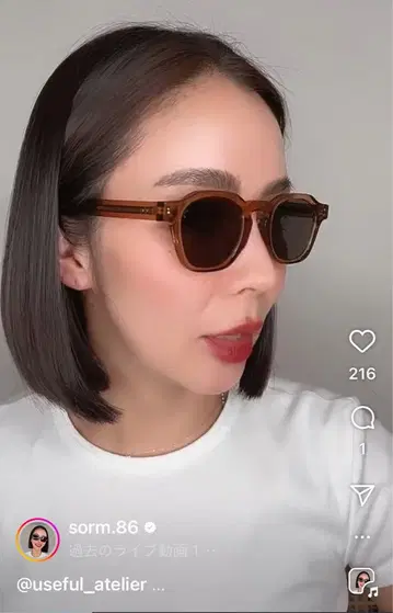 sorm'86 유용한 아틀리에 클리어 브라운