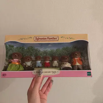 초콜릿 라브라도