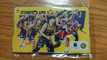 우쓰노미야 브렉스 한정판 패스 케이스