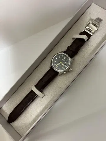 세이코 프로스펙스 알피니스트 SBDC091