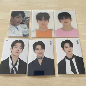 세븐틴 트레이닝 카드 6장