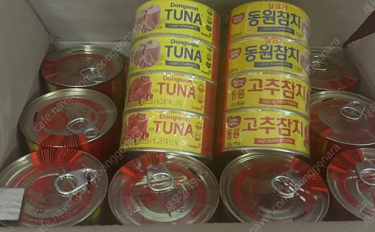 무료배송/ 동원참치살코기135g 24캔+ 동원고추참치 135g 24캔