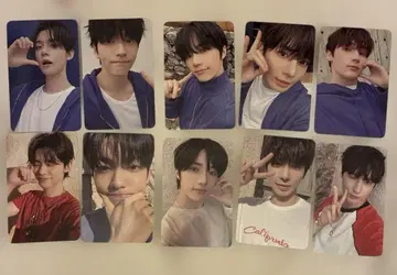 txt love language 10장 세트 컴플리트