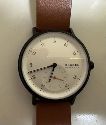 SKAGEN 쿠펠 44mm