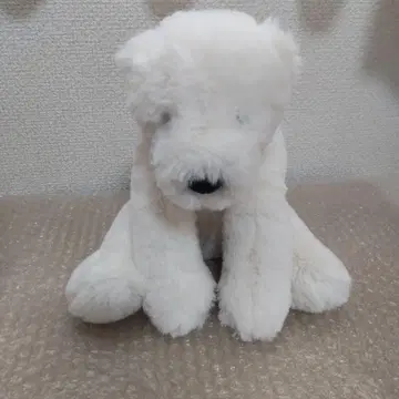 제리 캣 봉제 인형 시로쿠마 곰