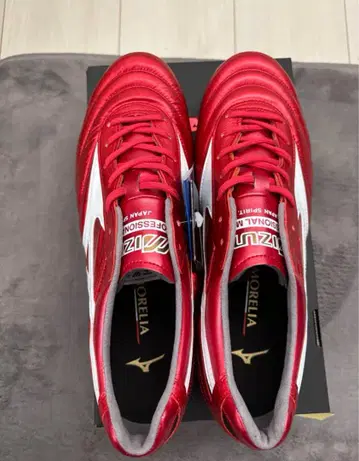 Mizuno 모레리아 2 40th 24.0 레어 사이즈