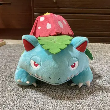 포켓몬 봉제 인형 후시기바나 2019 포켓몬 센터