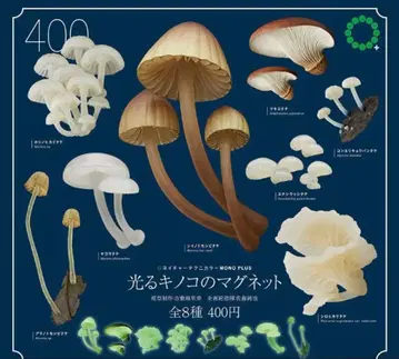 네이처 테크니컬러 MONO 빛나는 버섯 마그넷 전 8종 가챠