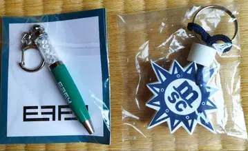 EFFY 크리스탈 볼펜이 달린 키링, MSC 로고 키링 세트